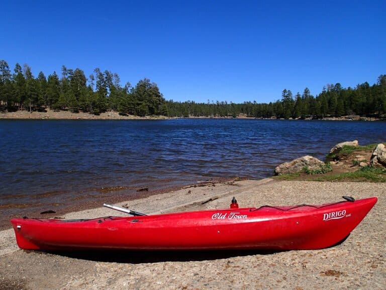 Red kayak pulled up on a lake shore with pine trees and blue sky, ready for a paddle
